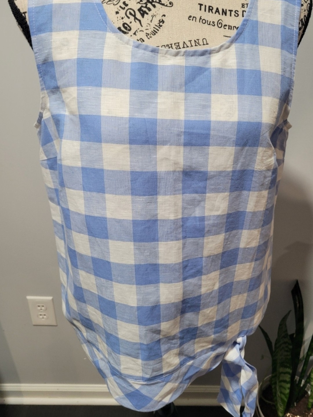 J. Crew Blue and White Gingham Tie-Hem Tank
